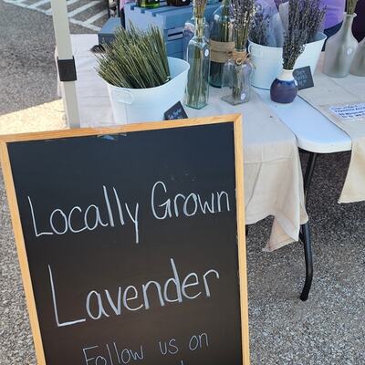 Lavender