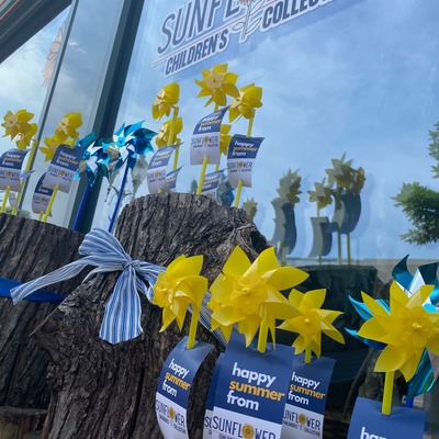 All children deserve happy childhoods and bright futures. The pinwheel represents that ideal.