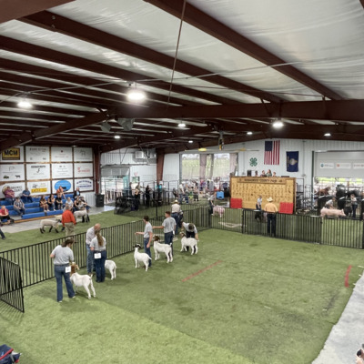 Round Robin competition for all age divisions - KanEquip Arena, Wabaunsee Co. Fair 2022