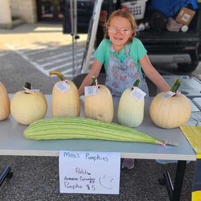 Mimi's Pumpkins -- young entrepreneur!