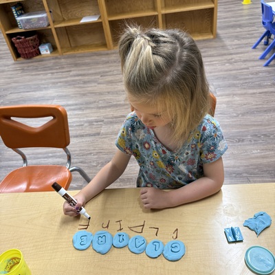 Fine Motor Skills